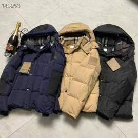 Picture of Burberry Down Jackets _SKUBurberryS-2XL26yr2437982